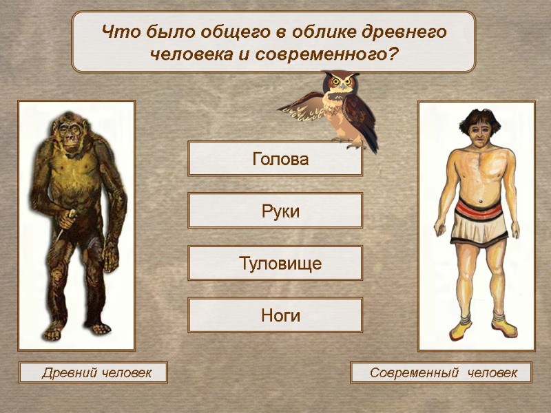 Древний человек  Современный  человек Что было общего в облике древнего человека и